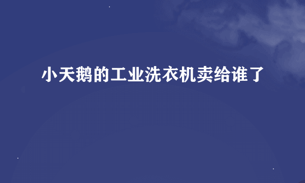 小天鹅的工业洗衣机卖给谁了