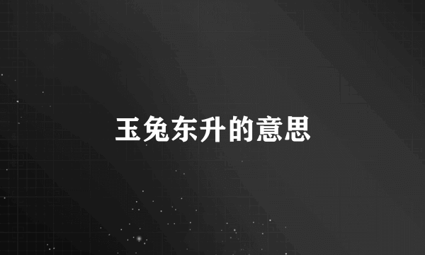 玉兔东升的意思