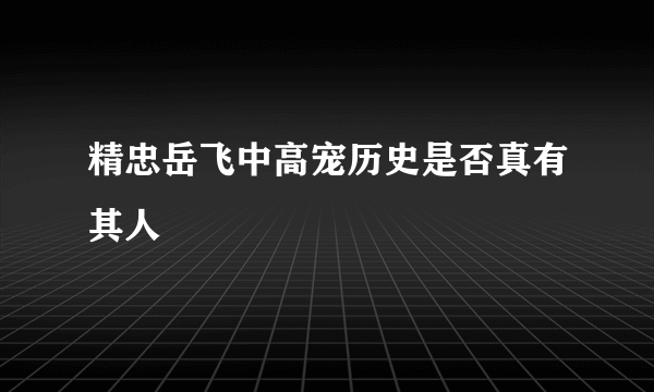 精忠岳飞中高宠历史是否真有其人