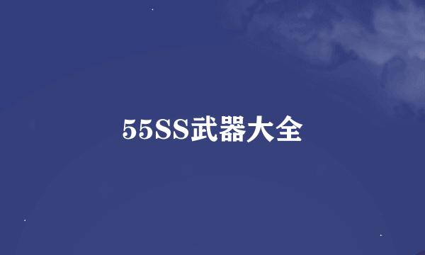 55SS武器大全