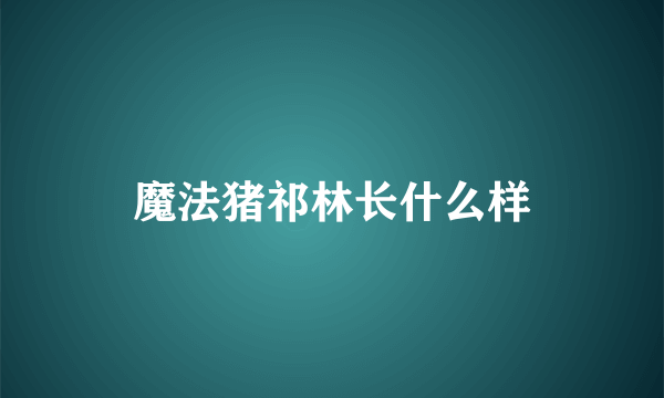 魔法猪祁林长什么样