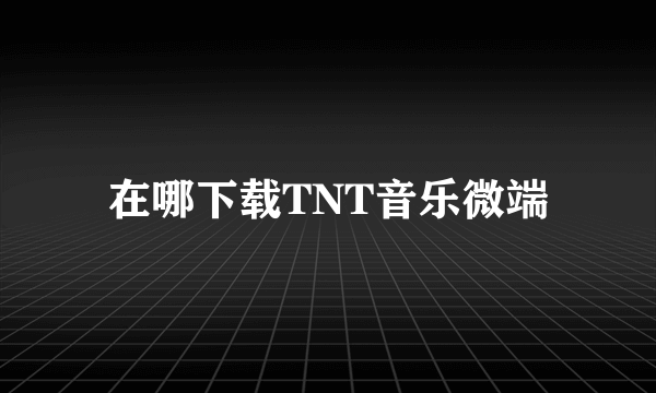 在哪下载TNT音乐微端