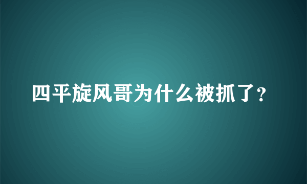 四平旋风哥为什么被抓了？