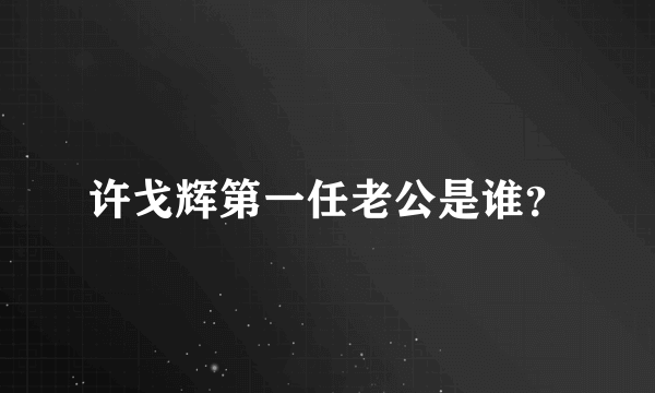 许戈辉第一任老公是谁？