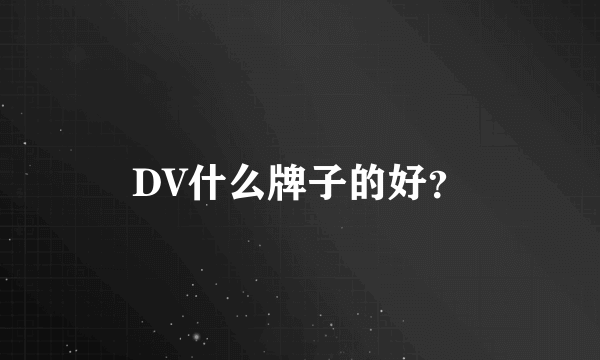 DV什么牌子的好？