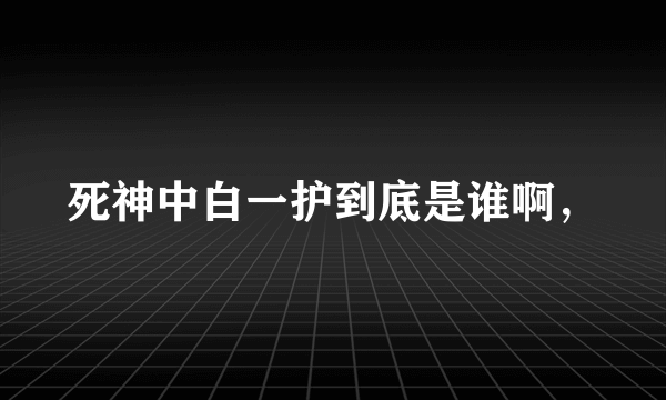 死神中白一护到底是谁啊，