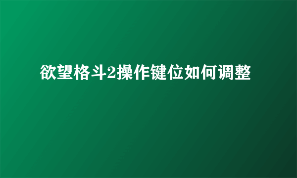 欲望格斗2操作键位如何调整