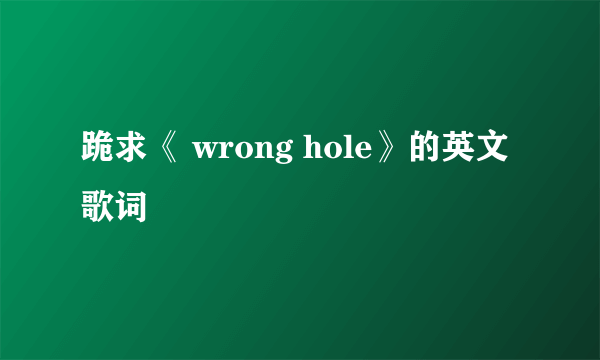 跪求《 wrong hole》的英文歌词