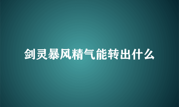 剑灵暴风精气能转出什么