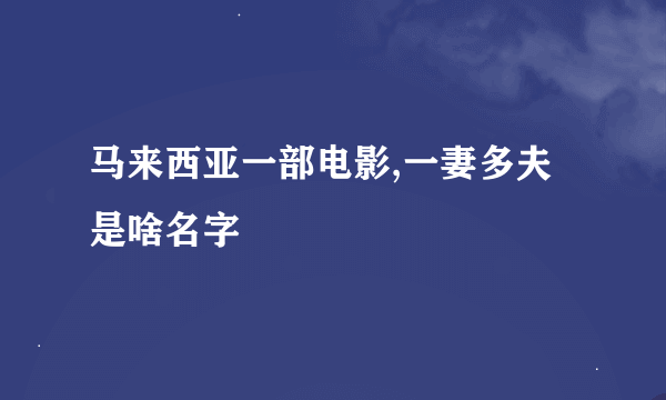 马来西亚一部电影,一妻多夫是啥名字