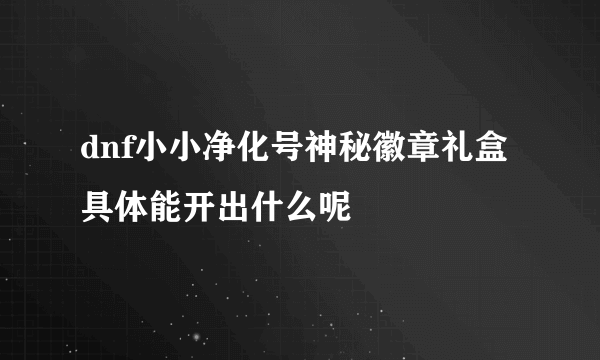 dnf小小净化号神秘徽章礼盒具体能开出什么呢