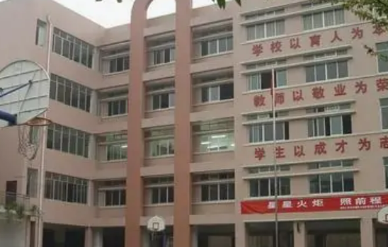 贵阳小学排名前十的学校