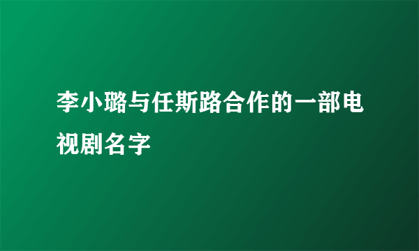 李小璐与任斯路合作的一部电视剧名字