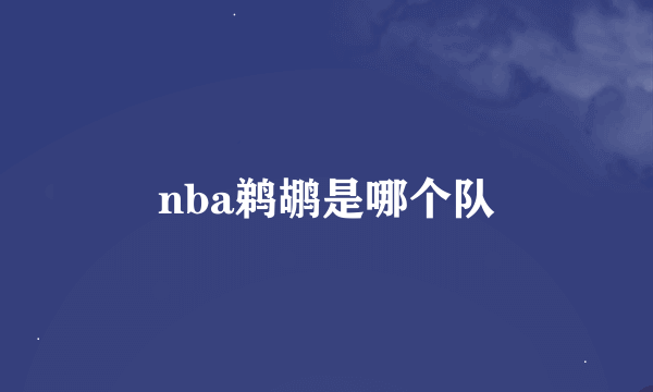 nba鹈鹕是哪个队