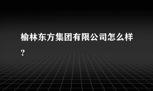 榆林东方集团有限公司怎么样？