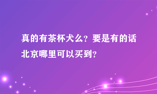 真的有茶杯犬么？要是有的话北京哪里可以买到？