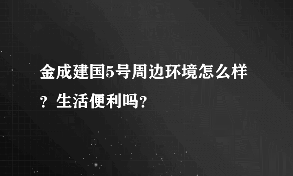 金成建国5号周边环境怎么样？生活便利吗？