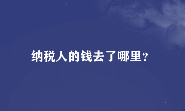 纳税人的钱去了哪里？