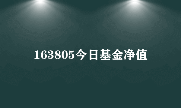 163805今日基金净值