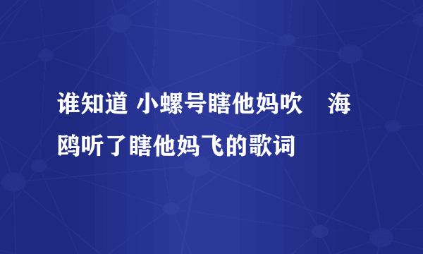 谁知道 小螺号瞎他妈吹　海鸥听了瞎他妈飞的歌词