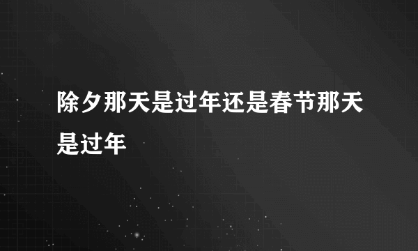 除夕那天是过年还是春节那天是过年