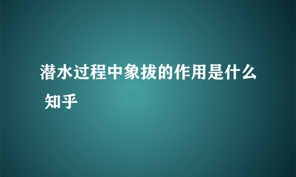 潜水过程中象拔的作用是什么 知乎