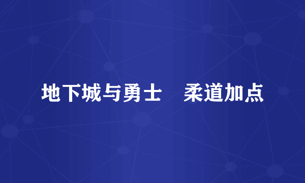 地下城与勇士　柔道加点