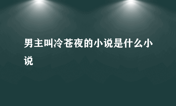 男主叫冷苍夜的小说是什么小说