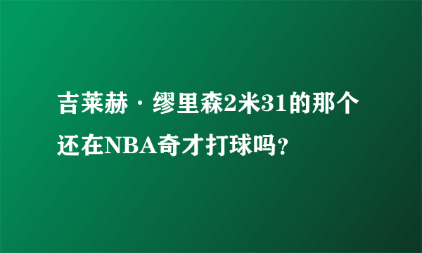 吉莱赫·缪里森2米31的那个还在NBA奇才打球吗？