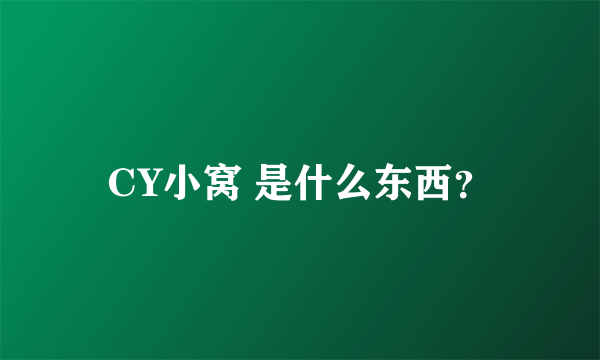 CY小窝 是什么东西？