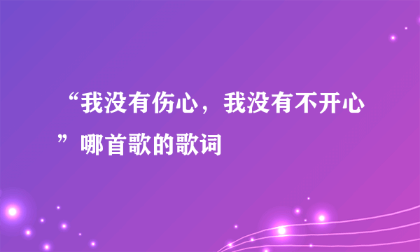 “我没有伤心，我没有不开心”哪首歌的歌词