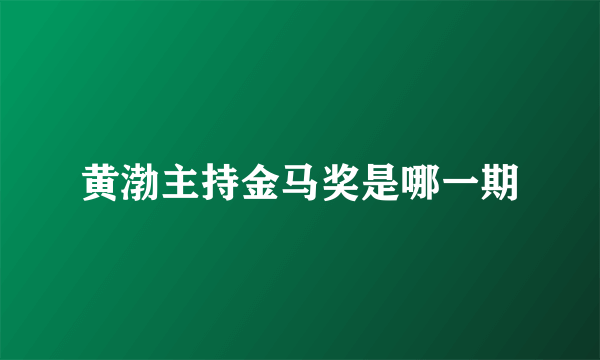 黄渤主持金马奖是哪一期