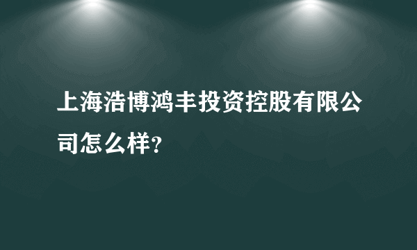 上海浩博鸿丰投资控股有限公司怎么样？