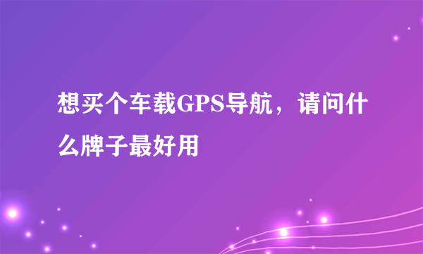 想买个车载GPS导航，请问什么牌子最好用