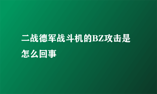 二战德军战斗机的BZ攻击是怎么回事