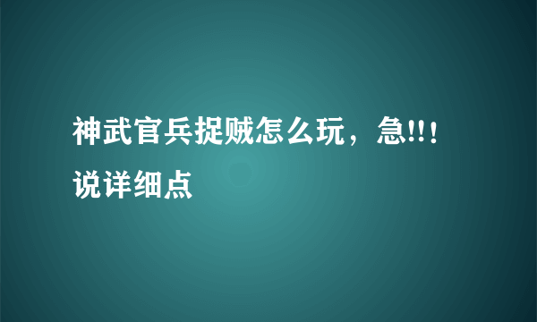 神武官兵捉贼怎么玩，急!!！说详细点