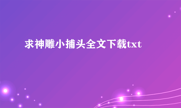 求神雕小捕头全文下载txt