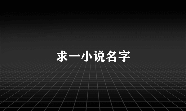 求一小说名字