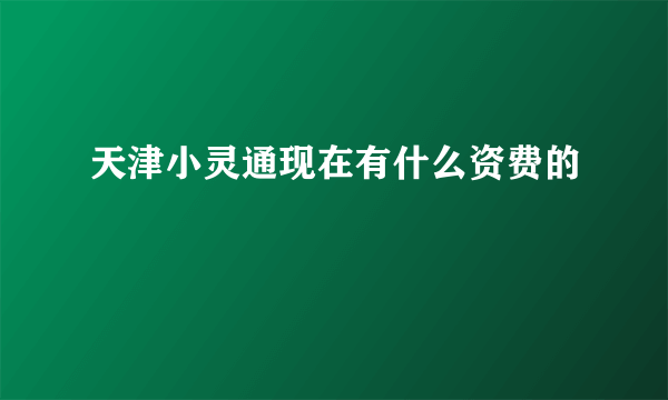 天津小灵通现在有什么资费的