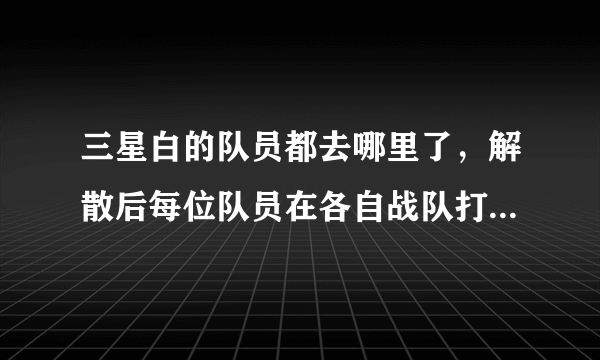 三星白的队员都去哪里了，解散后每位队员在各自战队打什么位置，谢谢