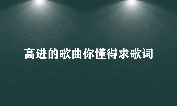 高进的歌曲你懂得求歌词