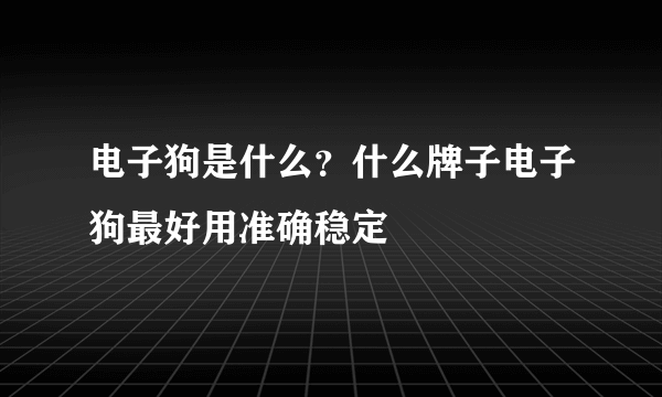 电子狗是什么？什么牌子电子狗最好用准确稳定