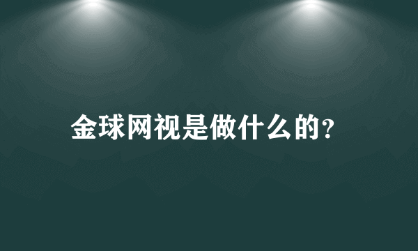 金球网视是做什么的？