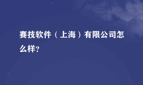 赛技软件（上海）有限公司怎么样？