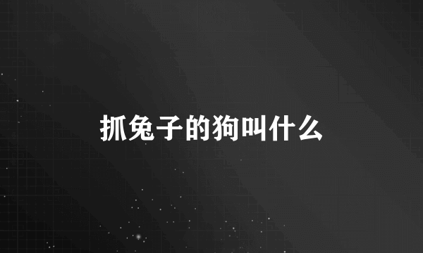 抓兔子的狗叫什么