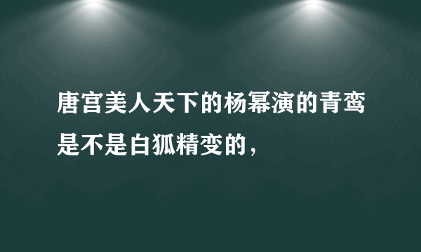 唐宫美人天下的杨幂演的青鸾是不是白狐精变的，