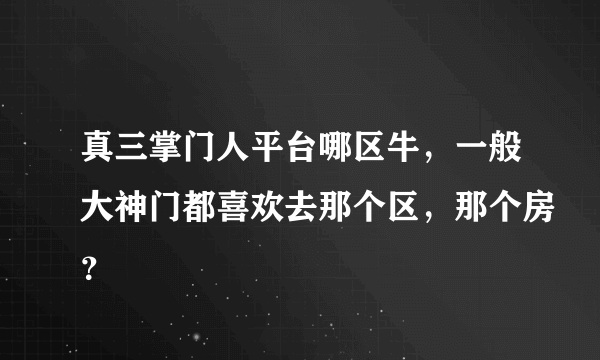 真三掌门人平台哪区牛，一般大神门都喜欢去那个区，那个房？