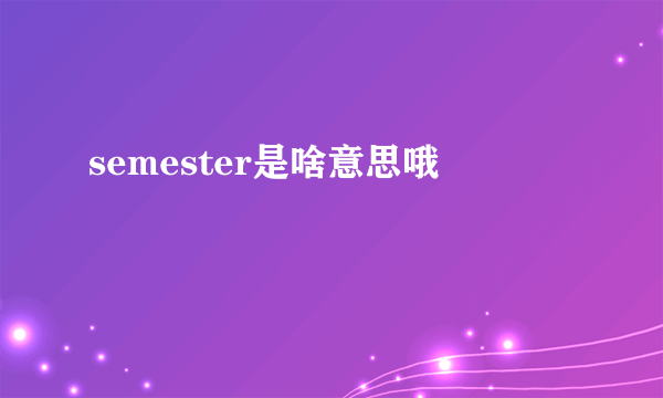 semester是啥意思哦