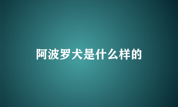 阿波罗犬是什么样的