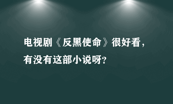 电视剧《反黑使命》很好看，有没有这部小说呀？